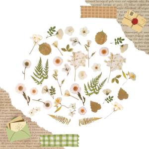 FOLIOWE NAKLEJKI DO SCRAPBOOKINGU - SUSZONE KWIATY (40 SZT) - WZÓR I