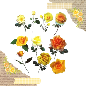 FOLIOWE NAKLEJKI DO SCRAPBOOKINGU - DUŻE ŻÓŁTE RÓŻE (20 SZT)