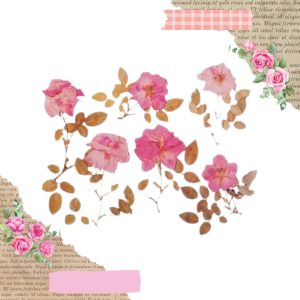 FOLIOWE NAKLEJKI DO SCRAPBOOKINGU - DUŻE RÓŻOWE RÓŻE (6 SZT)
