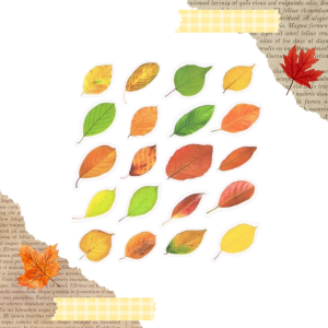 FOLIOWE NAKLEJKI DO SCRAPBOOKINGU - JESIENNE LIŚCIE (40 SZT)