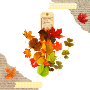 FOLIOWE NAKLEJKI DO SCRAPBOOKINGU - DUŻE JESIENNE LIŚCIE (20 SZT)