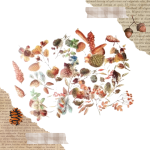 FOLIOWE NAKLEJKI DO SCRAPBOOKINGU - JESIENNE LIŚCIE, SZYSZKI (40 SZT)